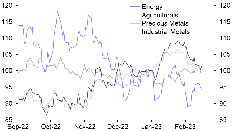 US inflation a downside risk to our price forecasts
