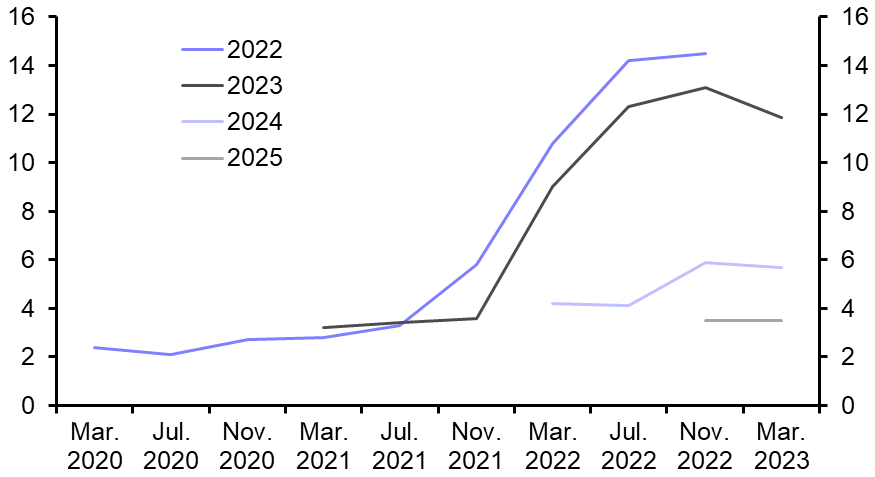 Poland: rates on hold, but scope for cuts this year 
