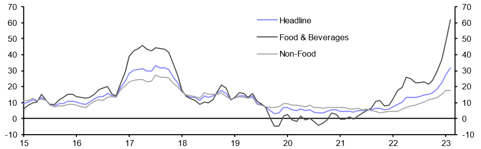 Egypt Consumer Prices (Feb. 2023)
