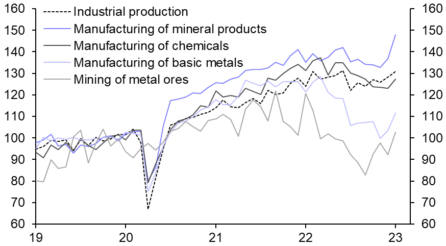 Turkey Activity Data (Jan.)
