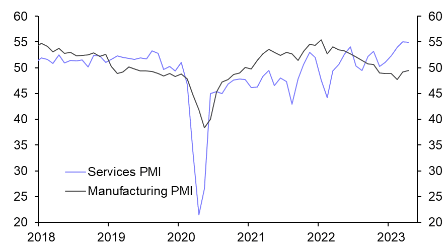 Japan Flash PMIs (Apr. 2023)
