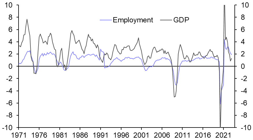 What explains the resilience of labour markets?
