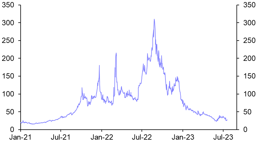 A preview of the EU natural gas market this winter
