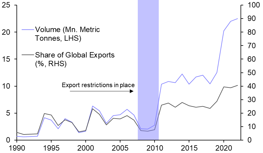 How will the rice export ban affect the economy?
