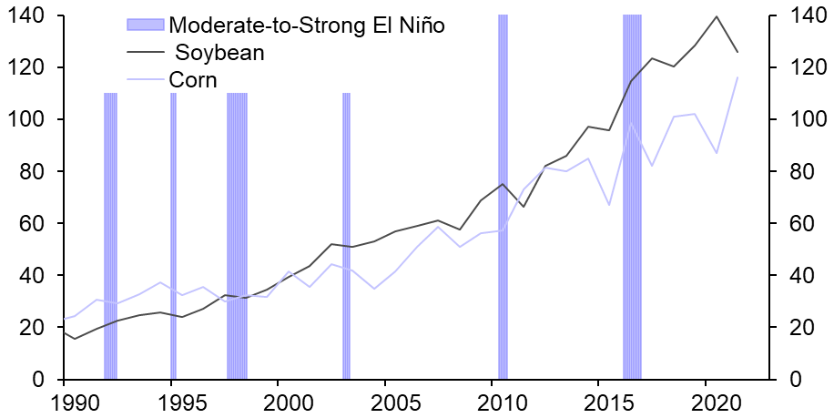 El Niño unlikely to fire up the price of all staples
