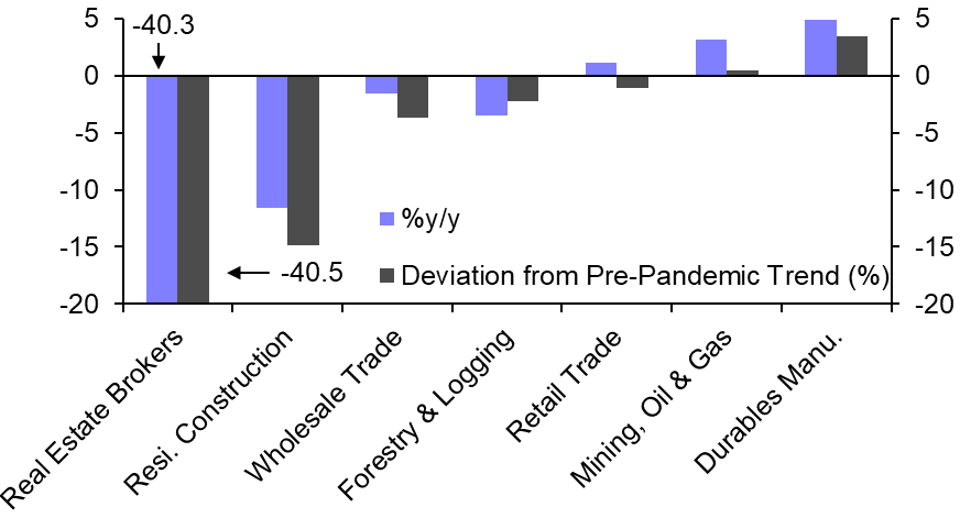 What explains the resilience of economic growth? 
