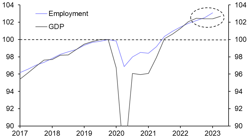 Why has the EZ labour market remained so strong?
