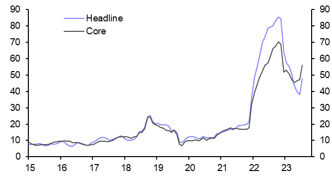 Turkey Consumer Prices (Jul.)
