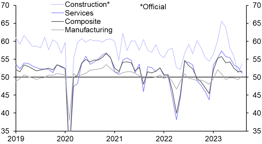 PMIs (Aug.)
