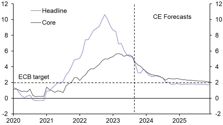 Faster fall in inflation might not prompt ECB rate cuts
