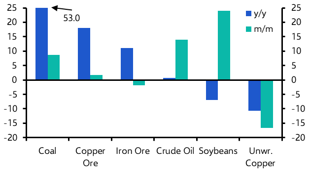 China commodity imports to hold firm, for now
