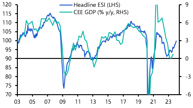 Economic Sentiment Indicators (Jan.)
