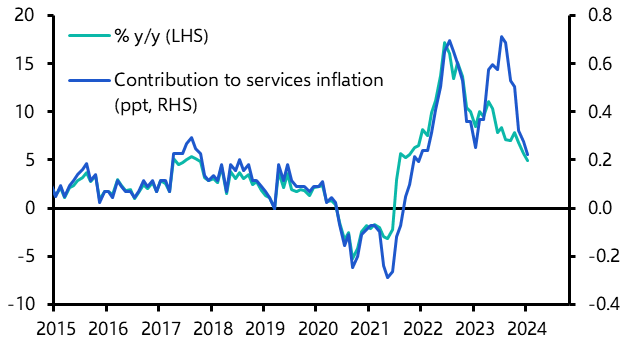 Why has euro-zone services inflation stopped falling?
