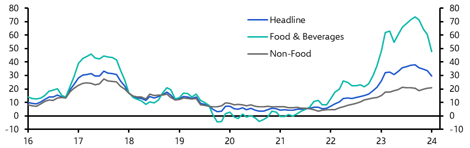 Egypt Consumer Prices (Jan. 2024)
