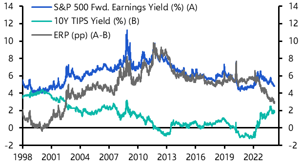 Will the equity risk premium disappear?
