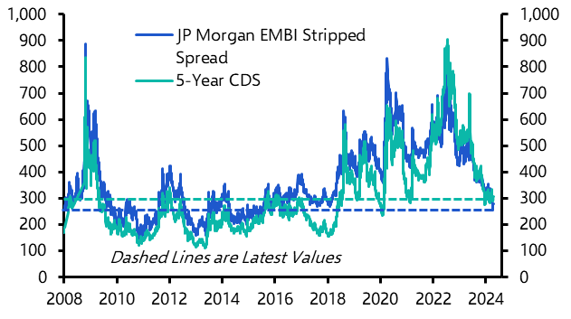 Risk premia on Turkish assets may stay low
