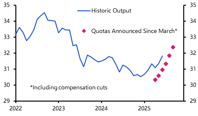 What are the next steps for OPEC+?
