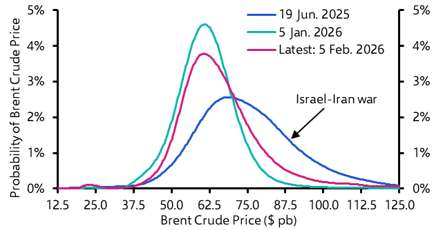 Sizing up the oil risk premium
