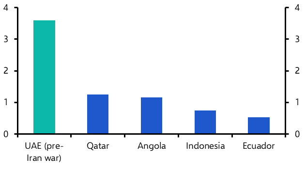 Five key questions on the UAE’s OPEC exit
