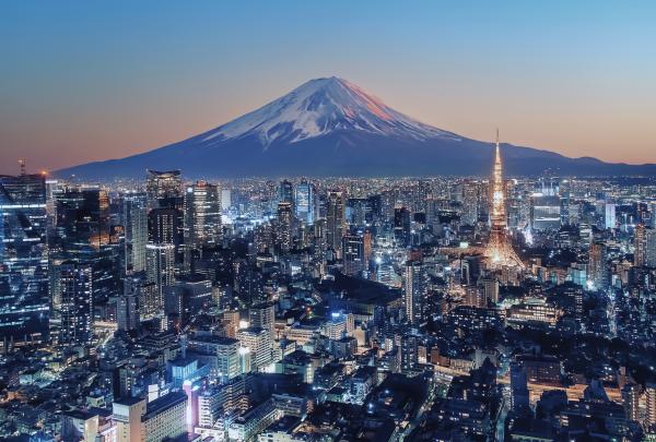Tokyo city with mountain