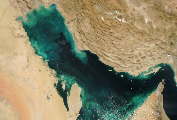 Strait of Hormuz sat image