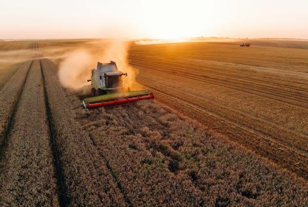 dropin commodities 3rd