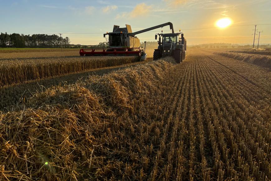Agriculture