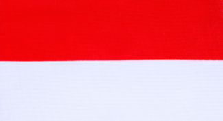 Indonesia flag