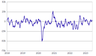 EM Capital Flows S/shot