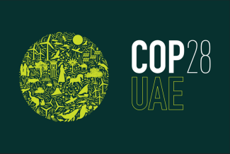 COP28 logo