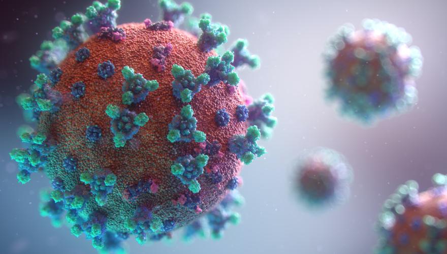 Virus disruption will leave severe and lasting scars
