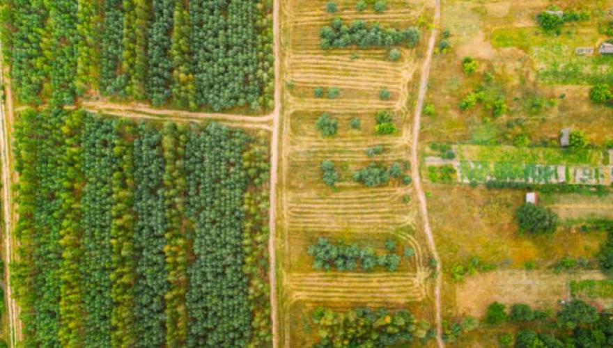 SA: Trump’s focus on land bill risks GNU instability
