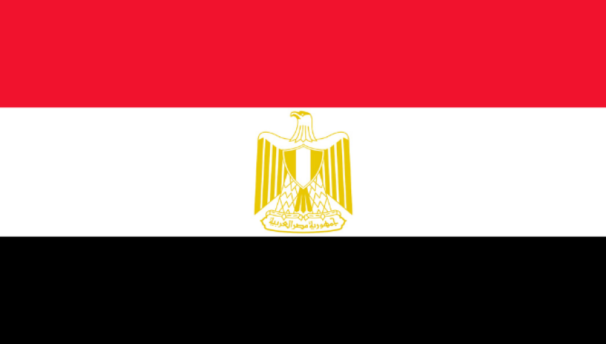 Egypt: winners and losers of a weaker EGP emerging
