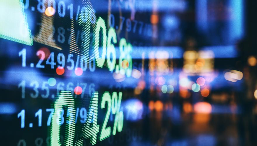 Emerging Markets Capital Flows Monitor
