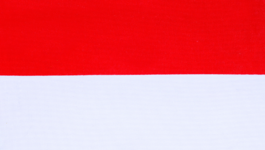 Indonesia Policy Rate (November 2023)

