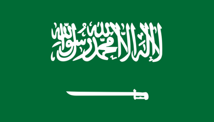 Saudi Vision 2030 likely to fall short of lofty goals
