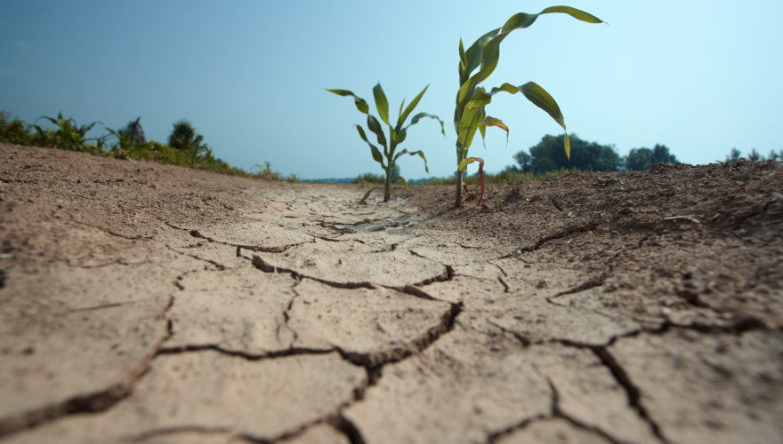 Colombia’s drought, Argentina’s anti-austerity protests
