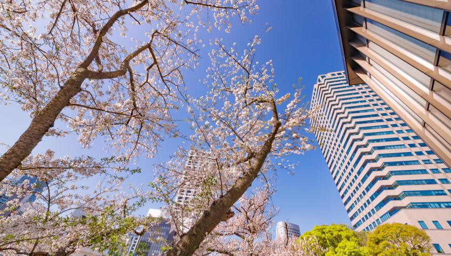 Japan Drop-In: Takaichi’s election gamble – Fiscal risks, market consequences
