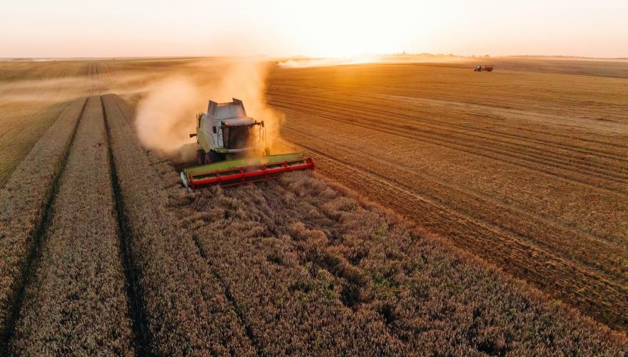 Drop-In: Commodities catch-up – What next for energy, gold and agriculturals? 
