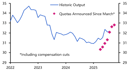 A pivotal OPEC+ meeting?; soybeans as bargaining chips