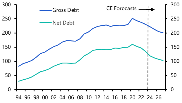 How much of a buffer do government assets provide?