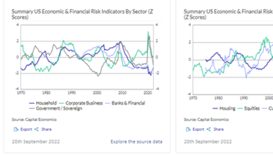 US Economic &amp; Financial Risks
